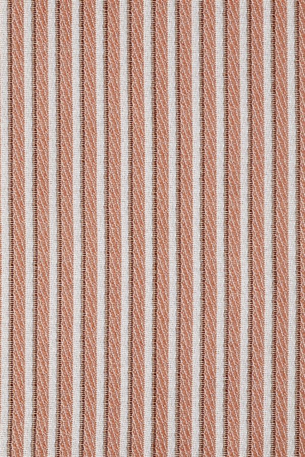 PIN STRIPE SALMON